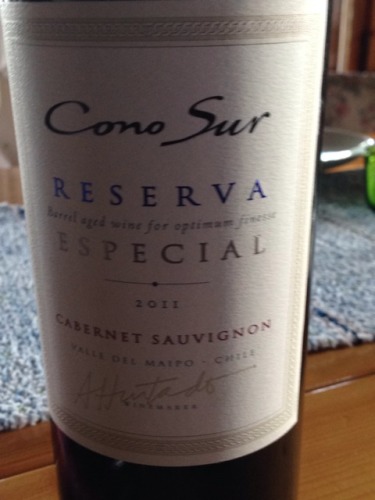 VINA CONO SUR vina cono sur:
