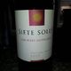 Terra Andina Siete Soles Cabernet Sauvignon 2009