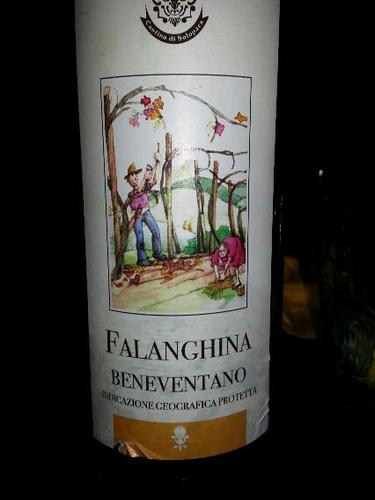 Cantine Di Solopaca Beneventano Falanghina