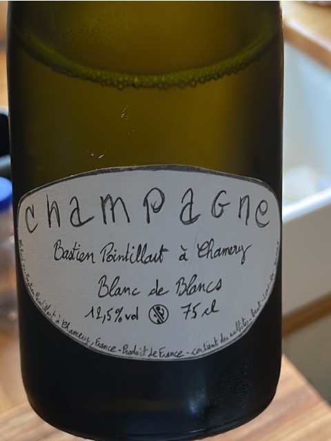 Bastien Pointillart Blanc de Blancs Champagne | Vivino English