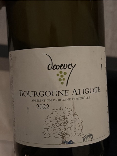 Jean-Yves Devevey Bourgogne Aligoté | Vivino English