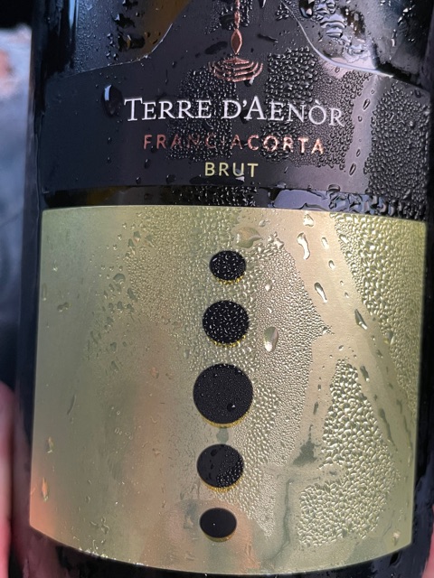 Terre d'Aenòr Franciacorta Brut | Vivino English