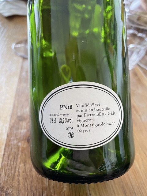 ピエール ボージェ Pierre Beauger Domaine Pierre Beauger Pinot Noir | Vivino English