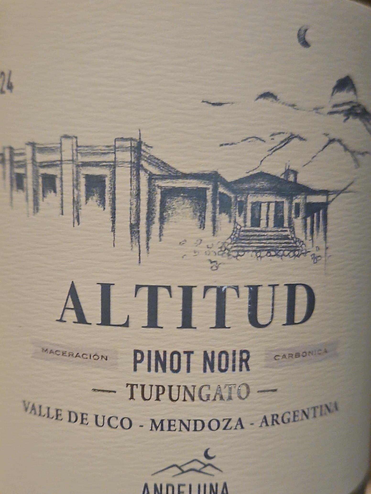 ANDELUNA ALTITUD PINOT NOIR 6X750 - imagen 4