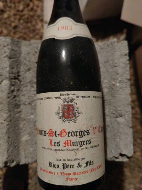 Rion Père et Fils Nuits St-Georges 1er Cru 'Les Murgers' | Vivino