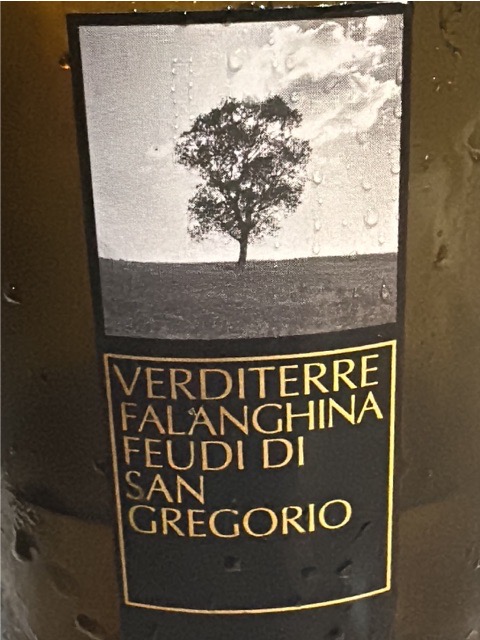 Verditerre Falanghina
