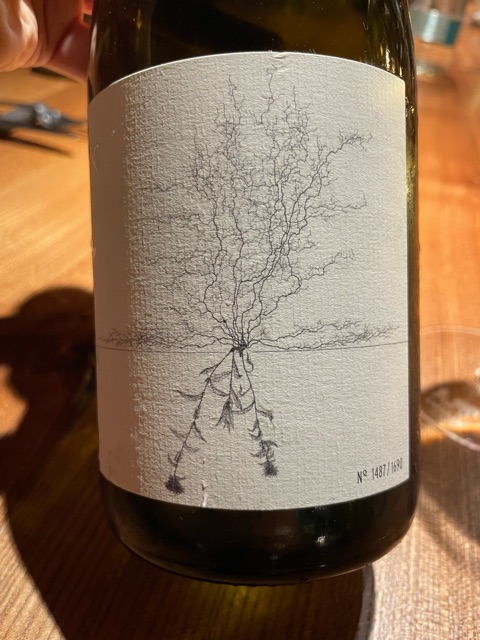 ワイン Aufricht Johannes Aufricht Blanc de Blanc Brut Nature | Vivino English