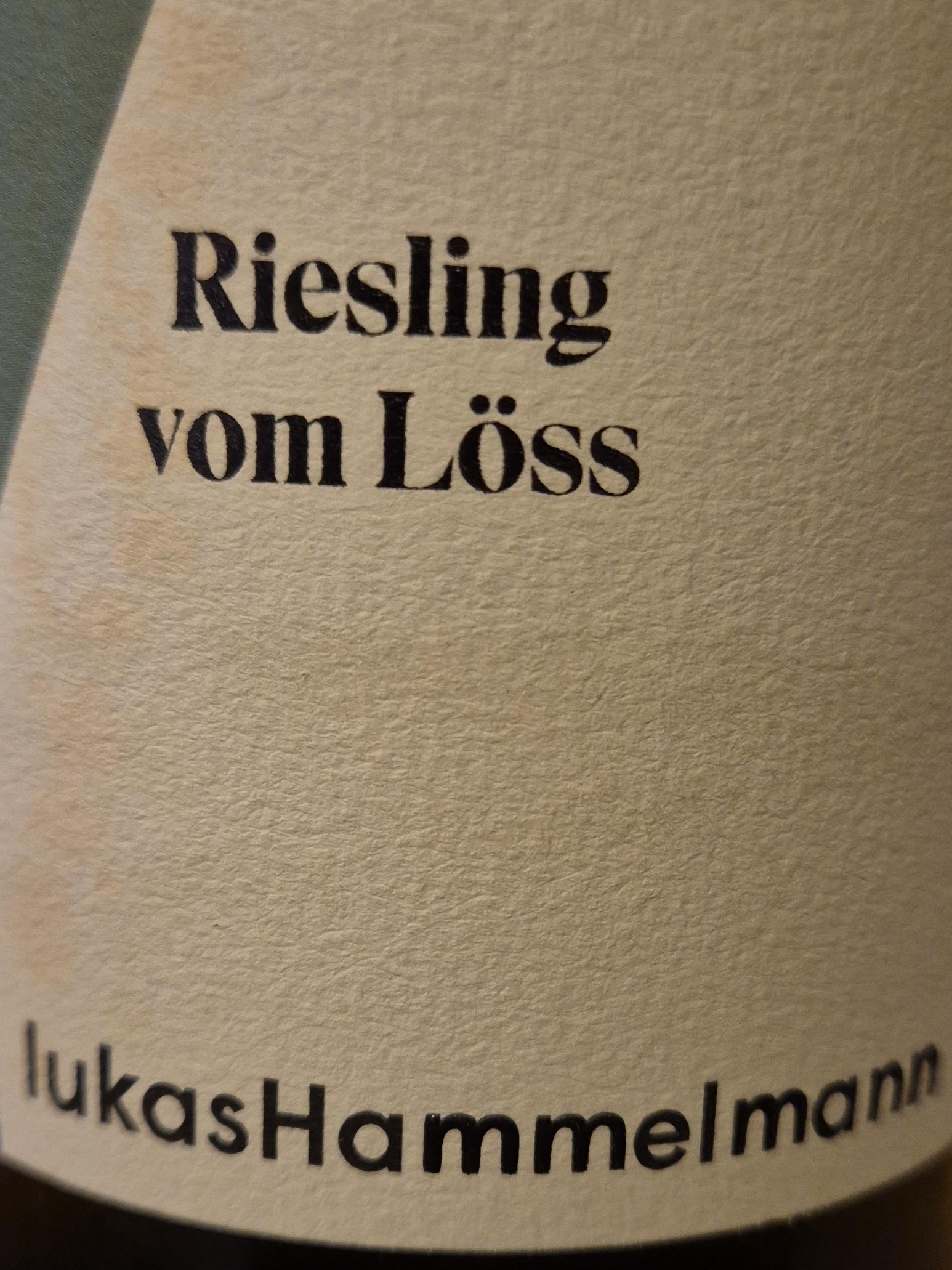 Hammelmann, Lukas 2020 Blanc de Noirs Caesslin – Chambers Street Wines, image size:1546x2062