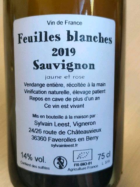 2020年Feuilles Blanches Sylvain Leest MNOnLtXoS8yB3I0QpxC_yg.jpg