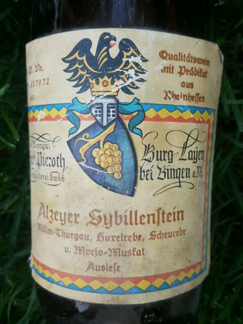 Pieroth Alzeyer Sybillenstein | Vivino Dansk