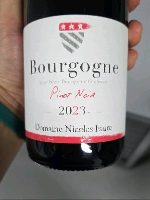 Domaine Nicolas Faure Bourgogne Pinot Noir | Vivino English