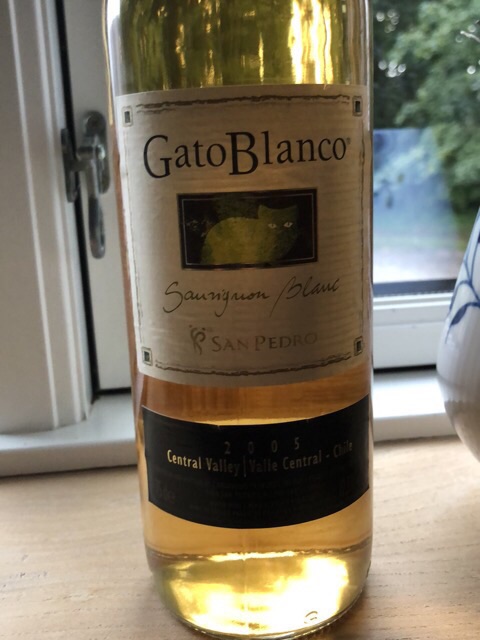 San Pedro Gato Blanco Sauvignon Blanc 2005 wine label