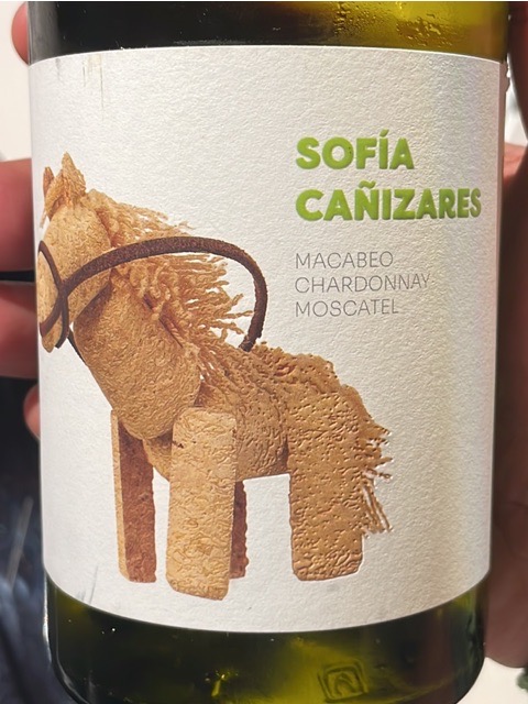 Sofia Cañizares