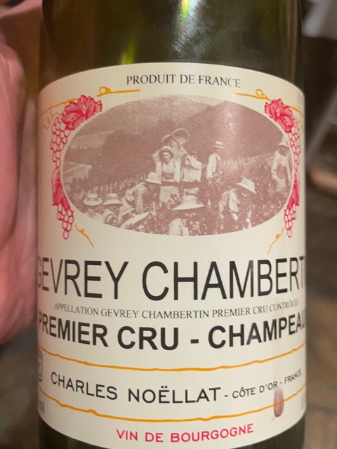 Charles Noëllat Gevrey-Chambertin 1er Cru 'Champeaux' | Vivino English