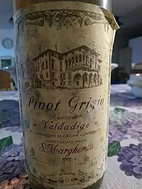 Rulander Valdadige Pinot Grigio