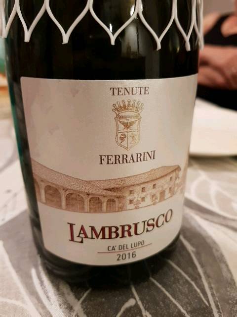 Tenute Ferrarini Ca' del Lupo Lambrusco | Vivino English