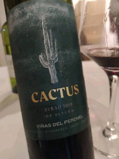 Bodega Vias Del Perchel Cactus Syrah | Vivino English