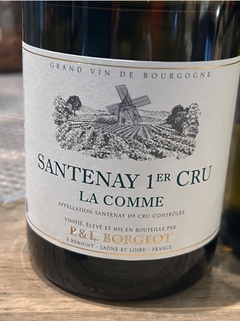 Domaine Borgeot Santenay 1er Cru 'La Comme' Blanc | Vivino