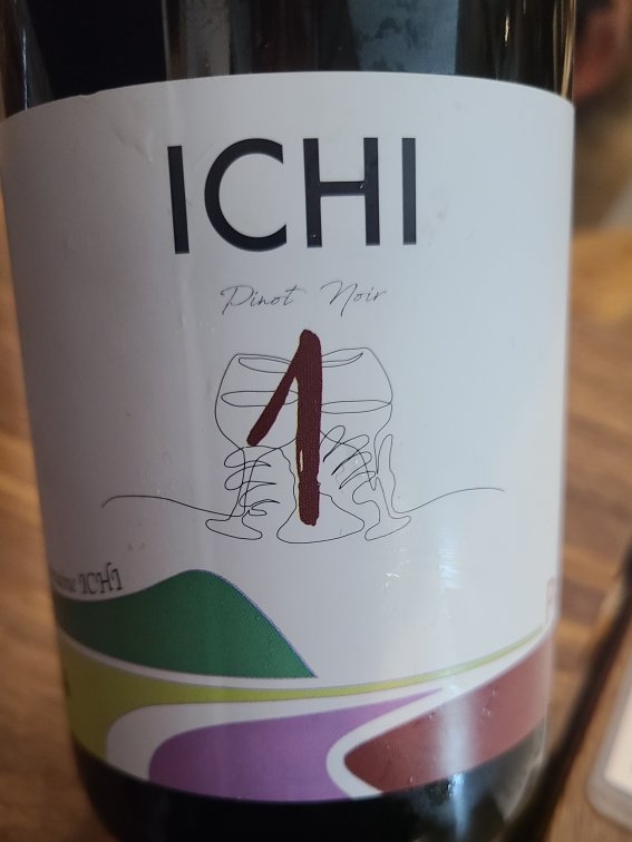 Domaine Ichi ICHI 1 P Pinot Noir | Vivino English