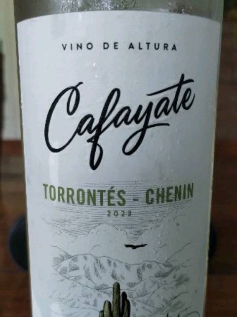CAFAYATE TORRONTES 6X750 - imagen 5