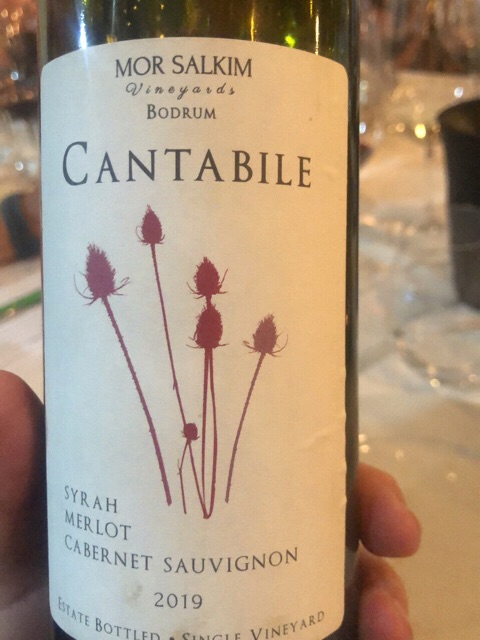 Mor Salkım Cantabile Syrah - Merlot - Cabernet Sauvignon | Vivino