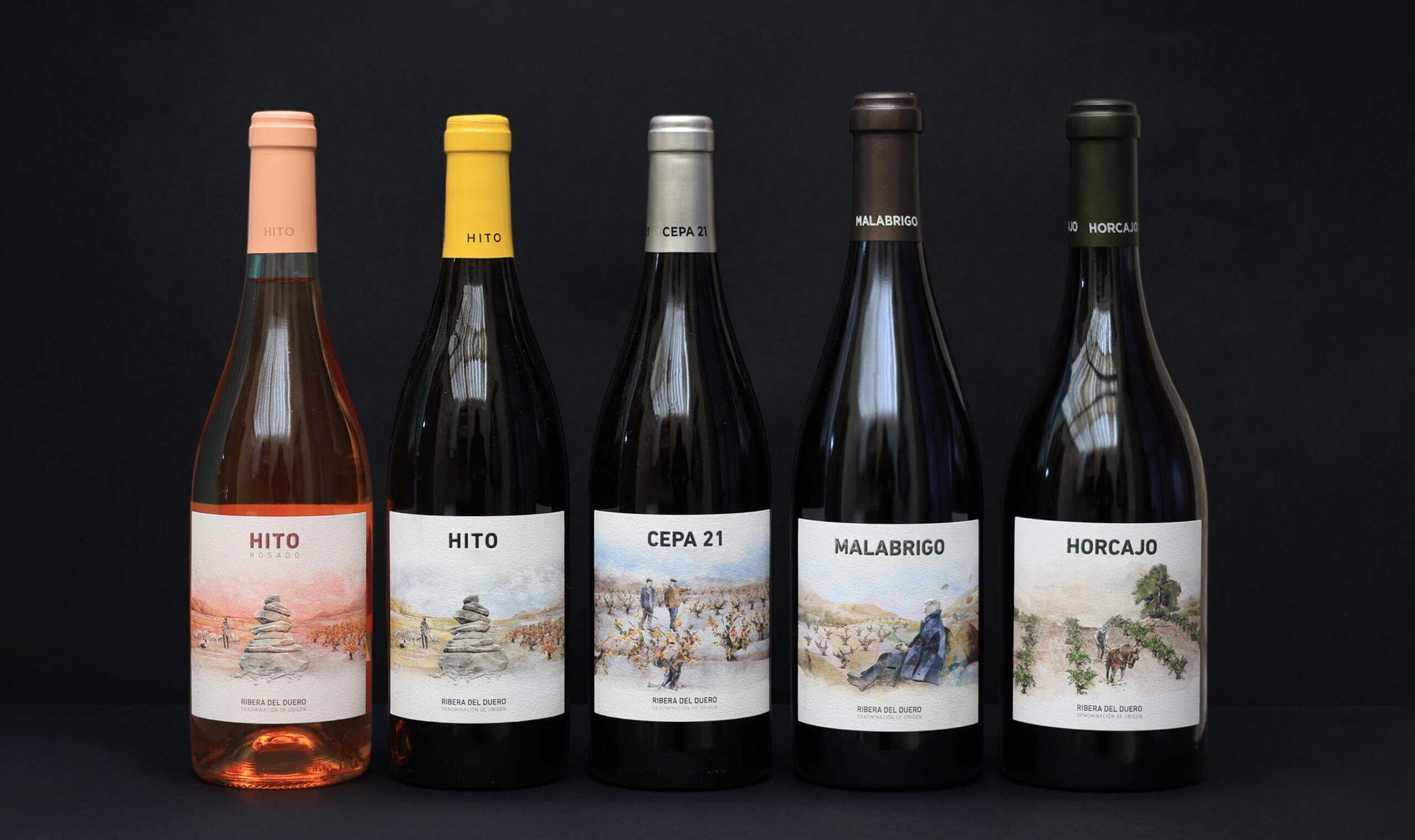 Cepa 21 Winery | Vivino