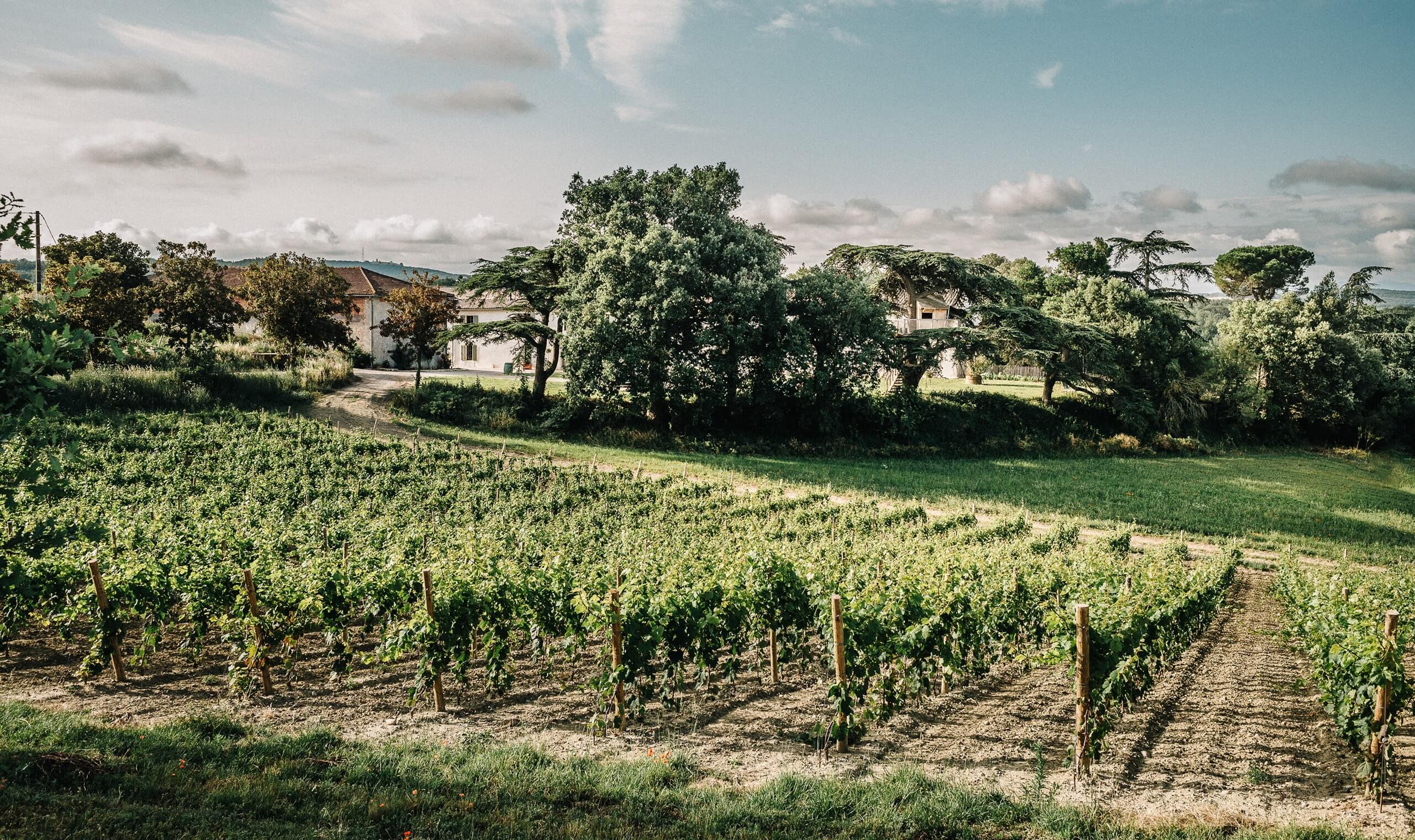 Pierre & Antonin Winery | Vivino