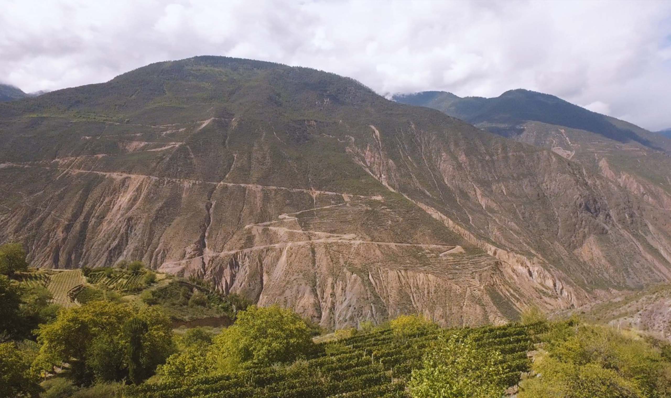 Ao Yun (敖云葡萄园) Winery | Vivino