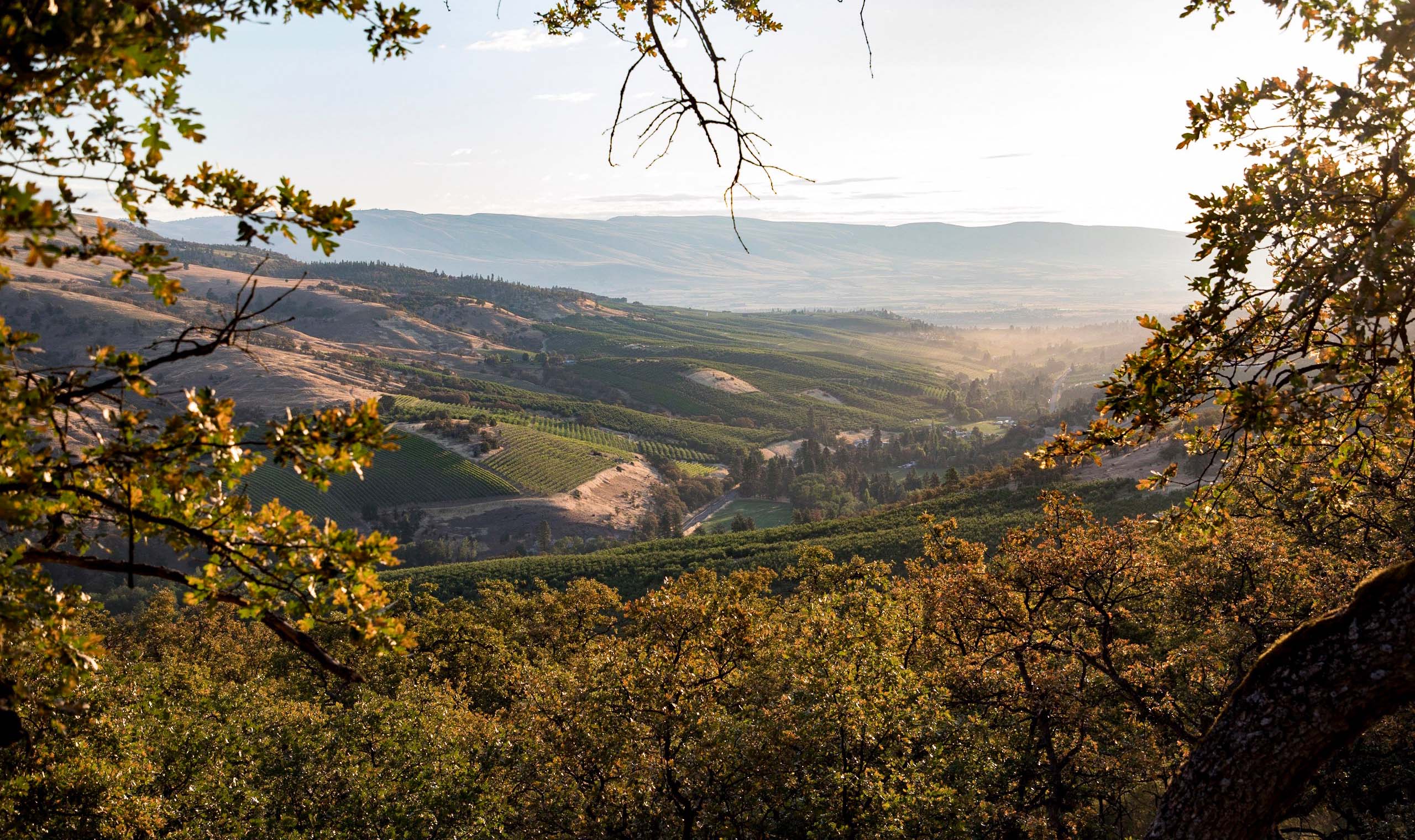 Capital Call Vintners Winery | Vivino
