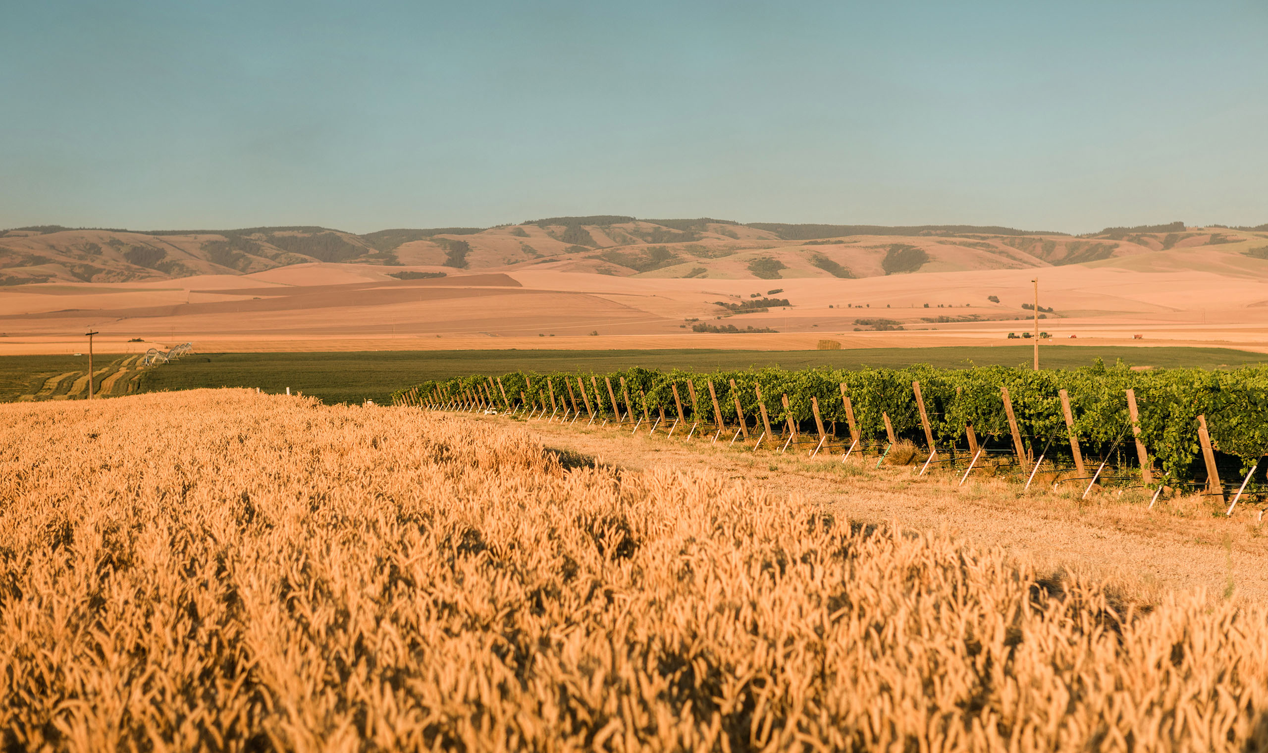Capital Call Vintners Winery | Vivino
