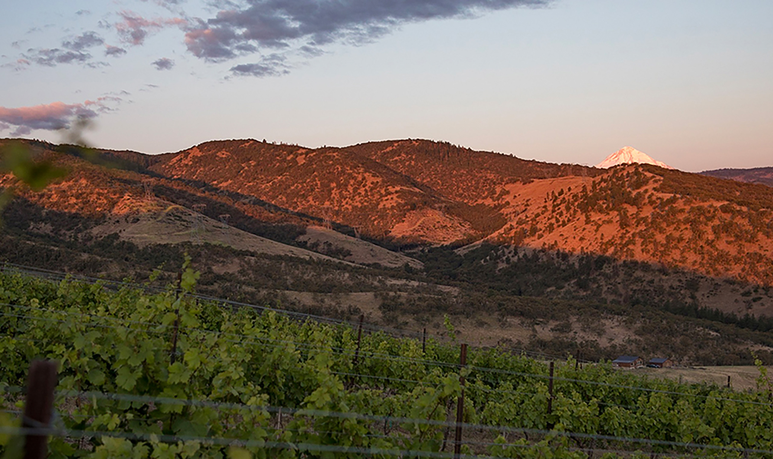 Capital Call Vintners Winery | Vivino