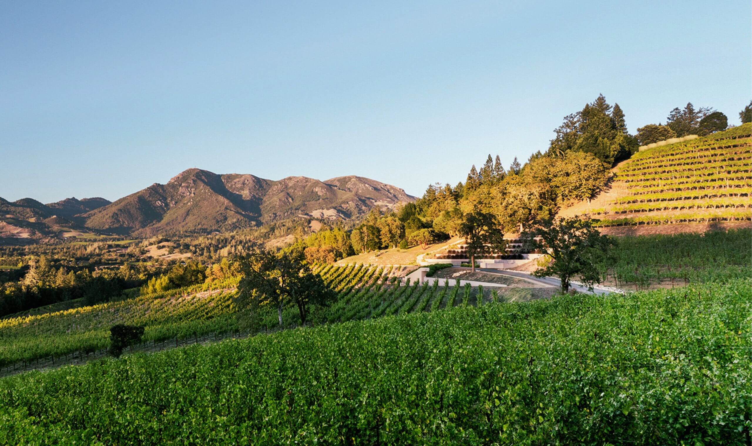 Knights Bridge Winery | Vivino