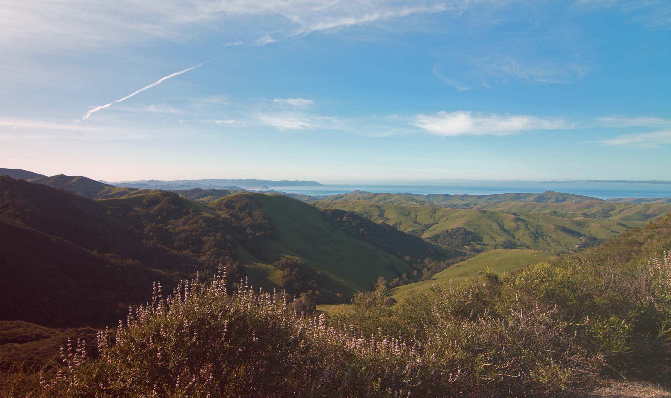 Paso Robles