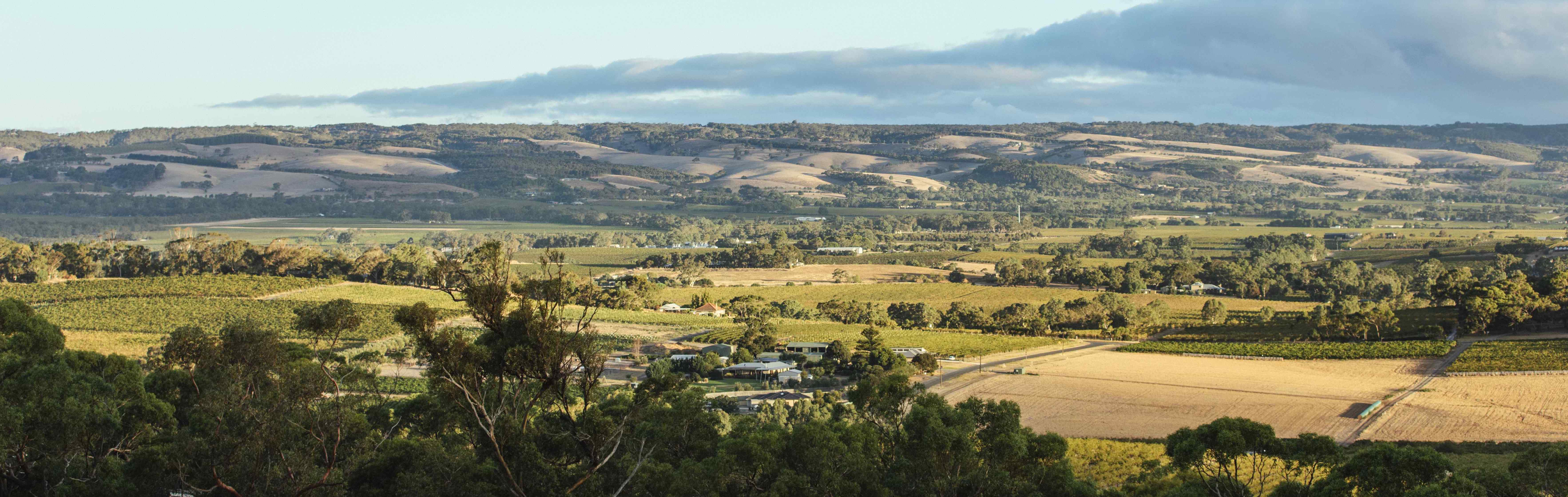 McLaren Vale