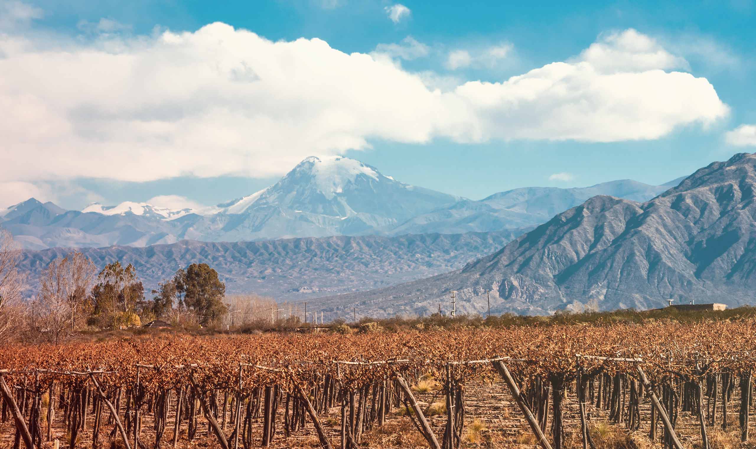 Uco Valley
