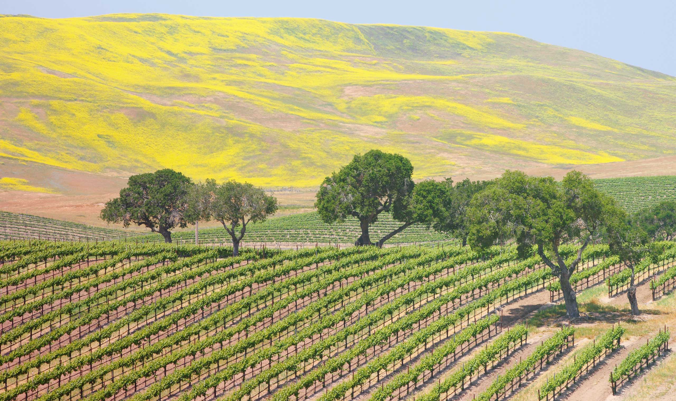 Santa Barbara County