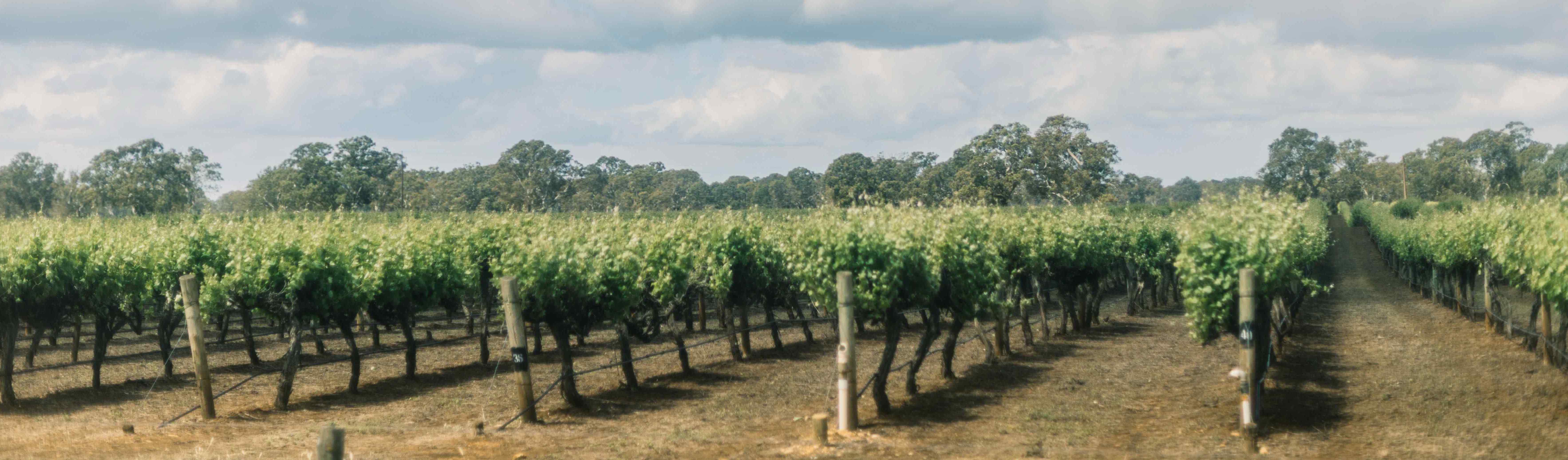 Coonawarra