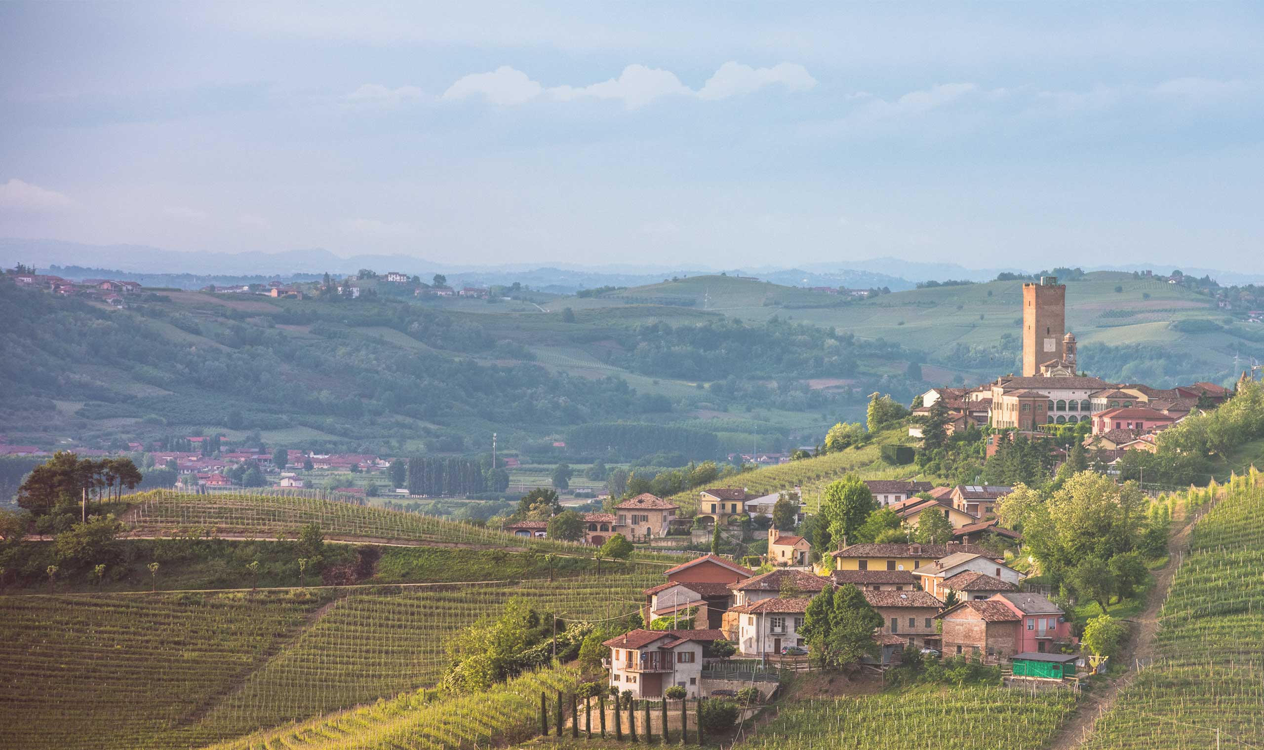 Barbaresco
