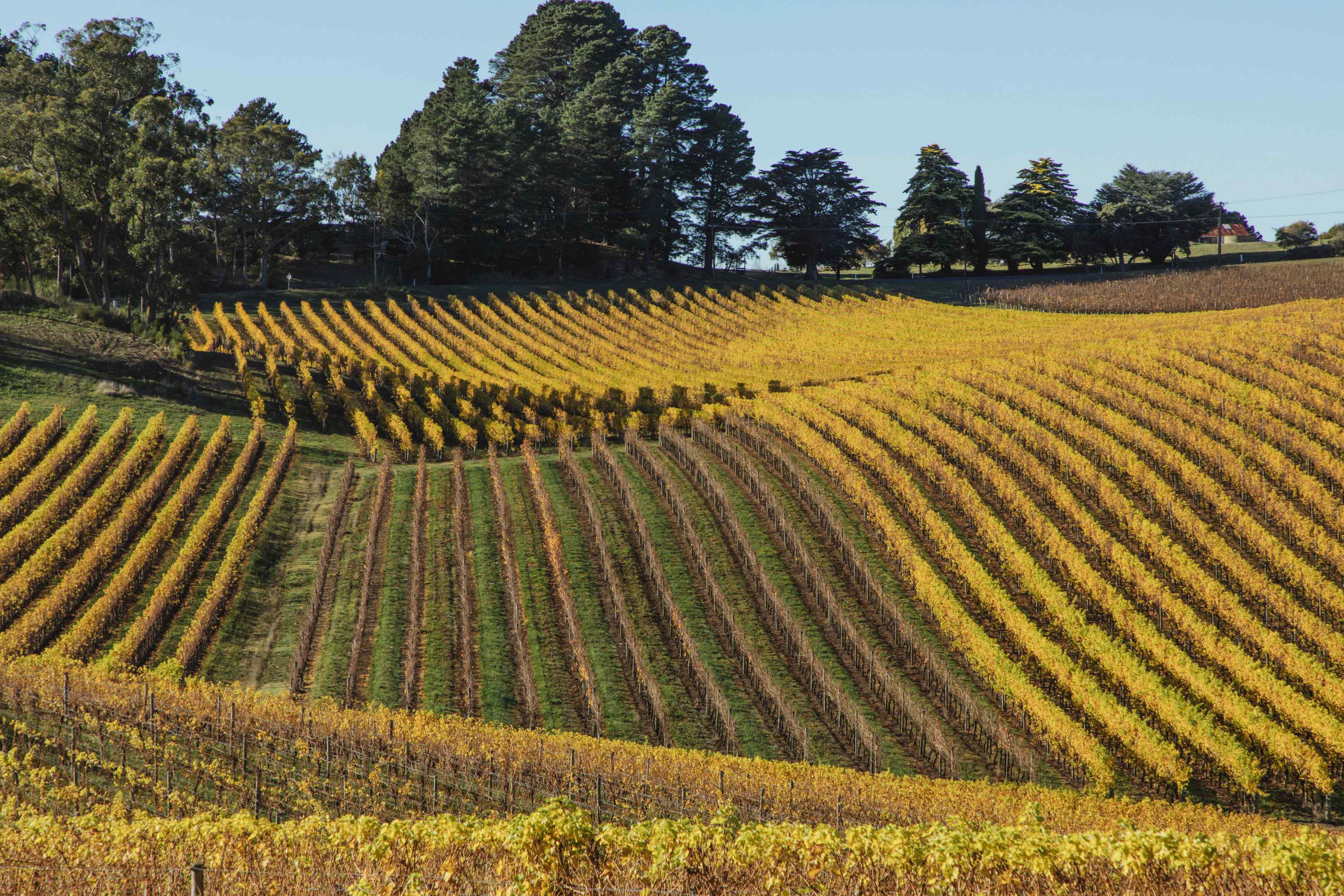 Adelaide Hills