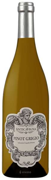 Antica Vigna Pinot Grigio | Vivino 日本語