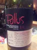 Pullus Modra Frankinja - Modri Pinot