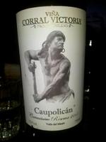 Corral Victoria Caupolicán Carménère Reserva