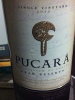 Pucará Single Vineyard Gran Reserva Carménère - Cabernet Sauvignon