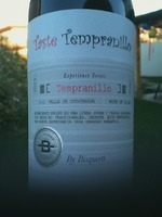 Bisquertt Family Vineyards Experience Series Taste Tempranillo