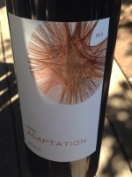 Adaptation Pinotage