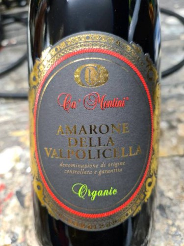 Cà Montini Organic Amarone della Valpolicella | Vivino US