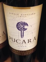 Pucará Single Vineyard Reserva Syrah