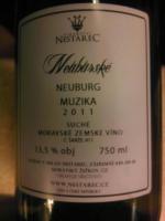 Milan Nestarec Muzika Neuburské Neuburg