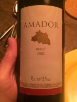 Bodegas Castillo Viejo Amador Merlot