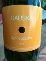 Sauska Gyöngyözöbor